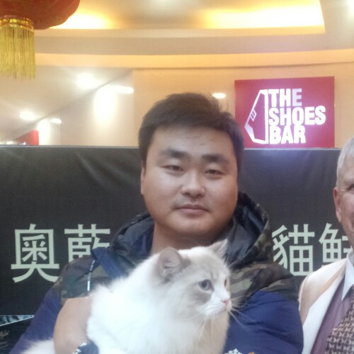 真心找个女友结婚的照片