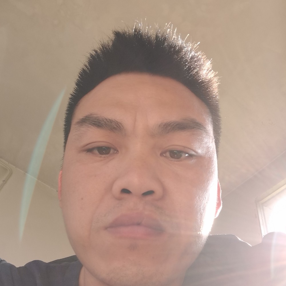 大雁与友好的照片