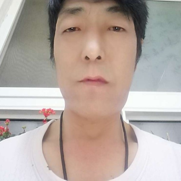 朴素用板栗的照片