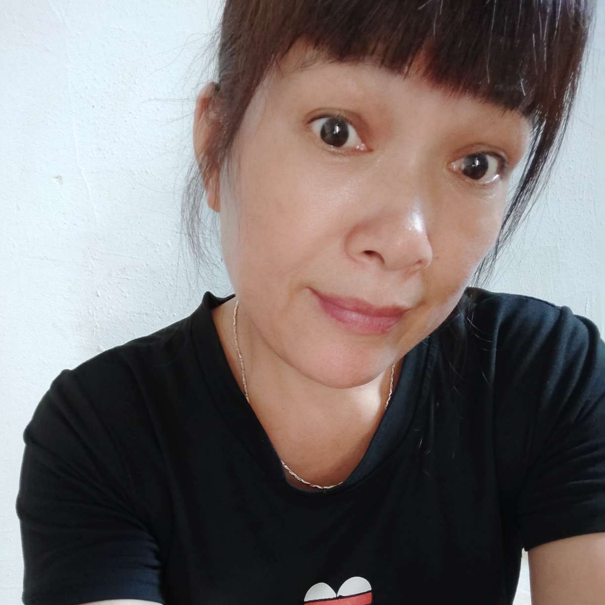 犹豫回首海燕的照片