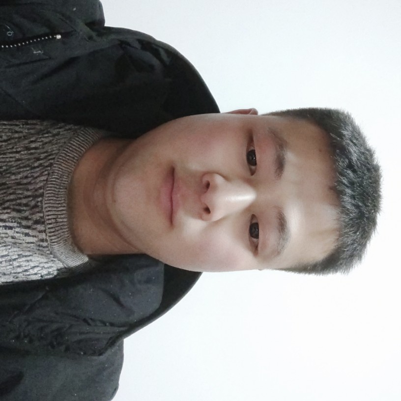 奋斗倾心蚂蚁的照片