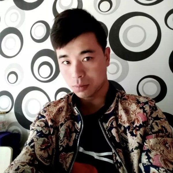 漂亮小海豚的照片