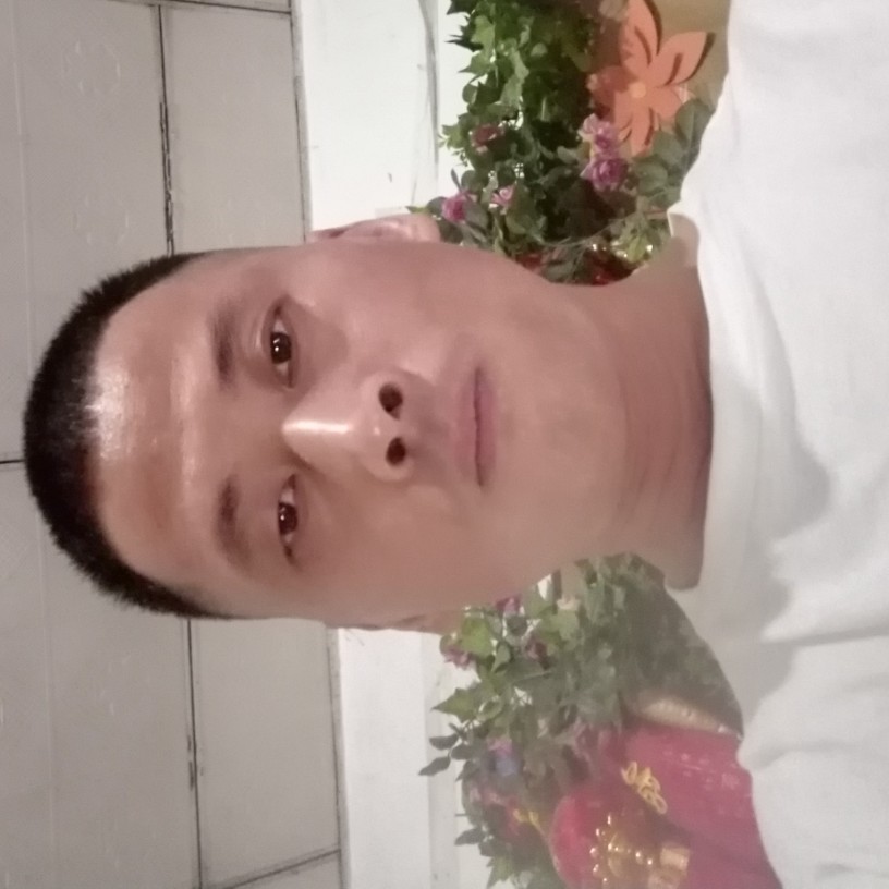 电脑有真淳的照片