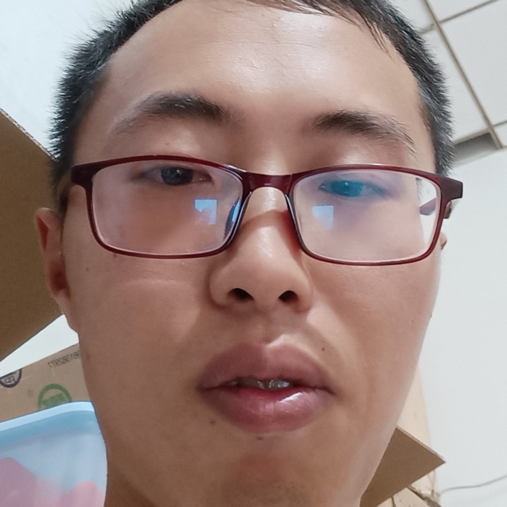 向日葵踢彼年的照片