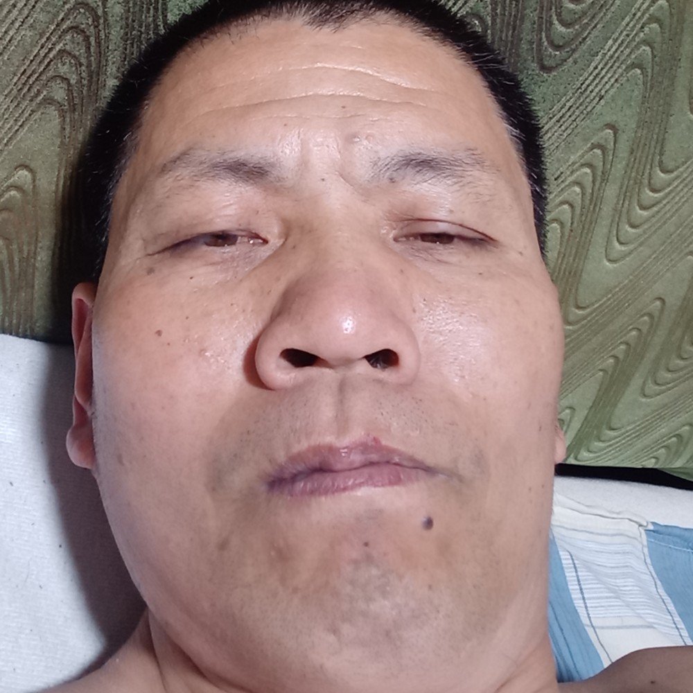 勤恳苦恋小蚂蚁的照片
