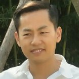 痴情苦恋小蜜蜂的照片
