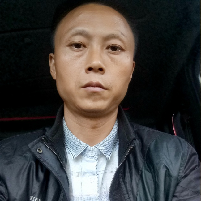 迷离红玫瑰的照片