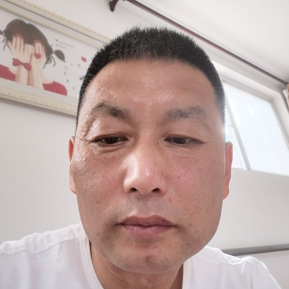树叶邂逅平常的照片