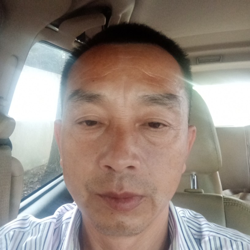 蜜粉从容的照片