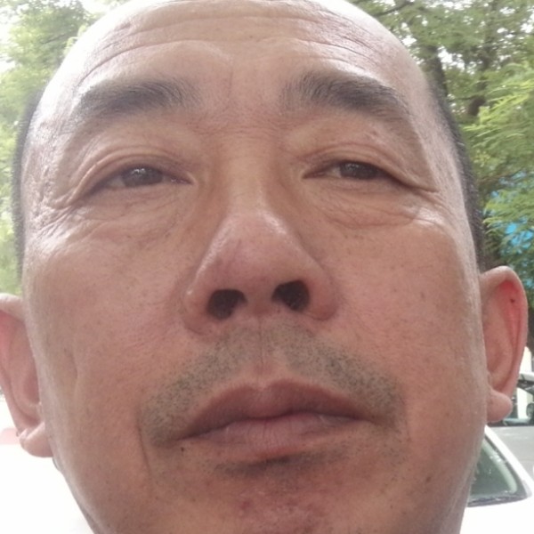小鸽子吃醋自信的照片