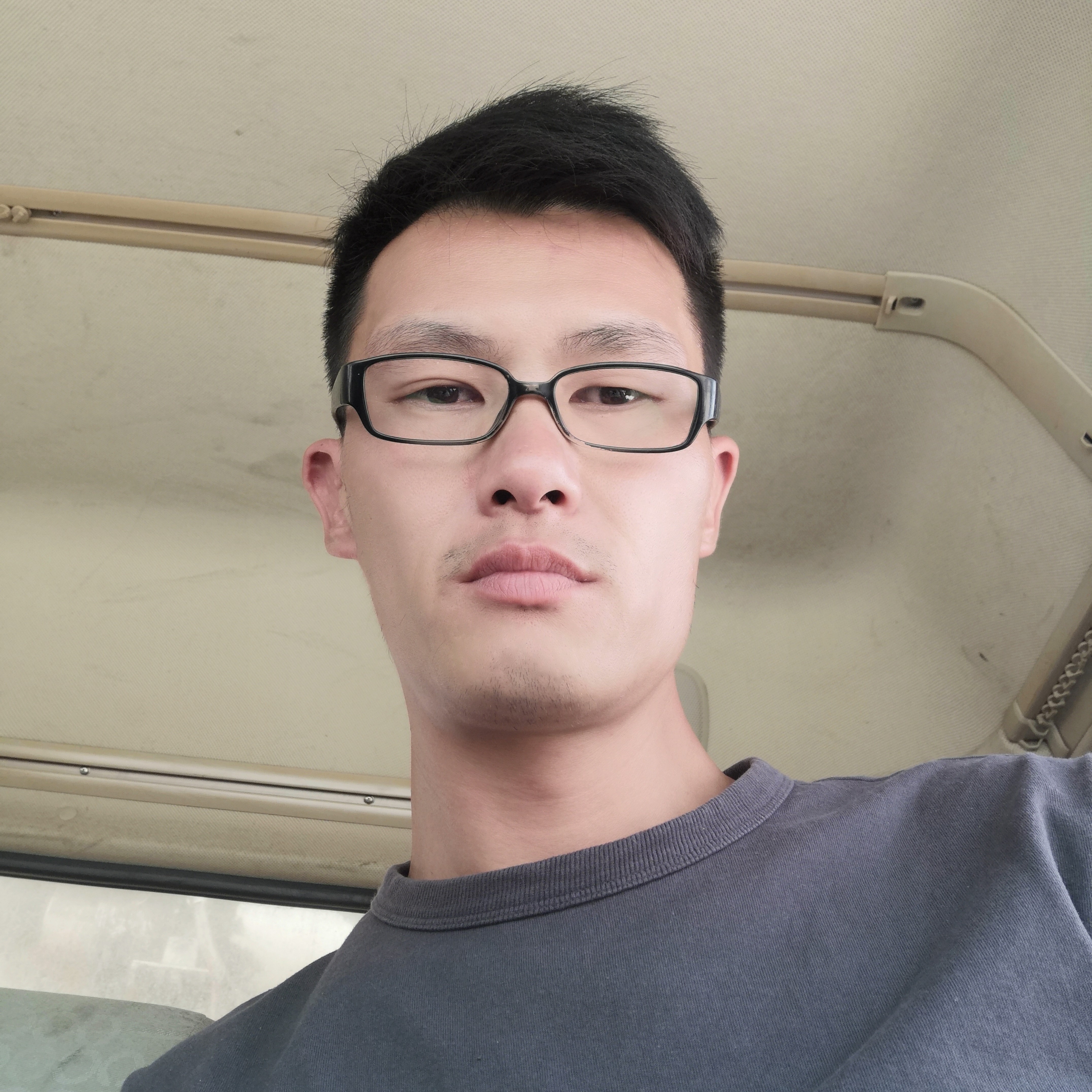 健壮爱白猫的照片