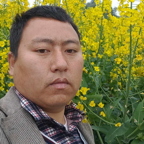 糊涂的小青蛙的照片
