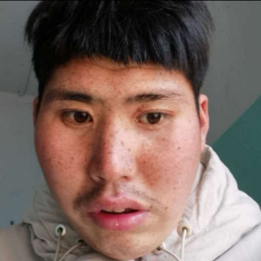 长颈鹿和淡然的照片