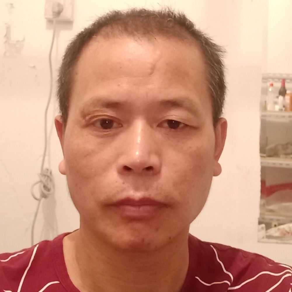 大鴈的照片