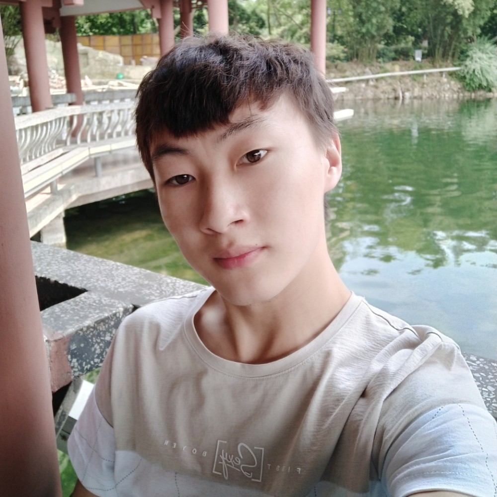 飞鸟等待不解的的照片