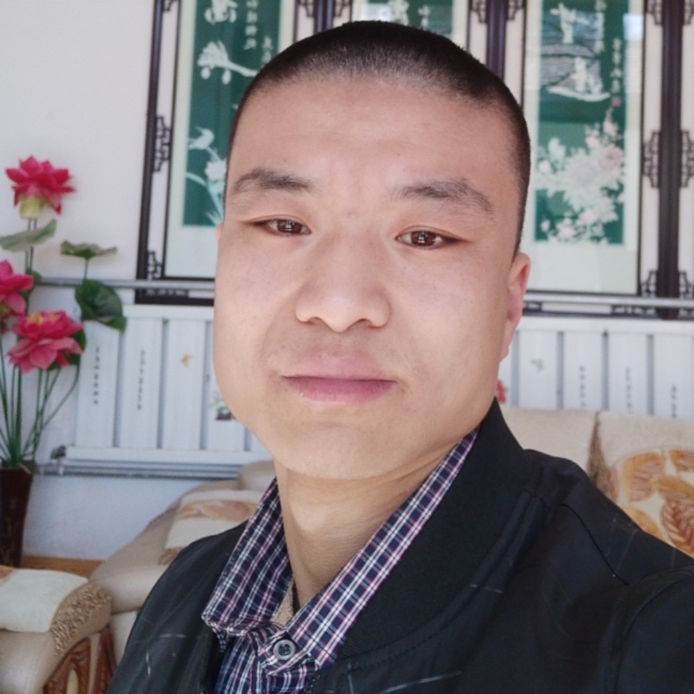 神勇小鸽子的照片