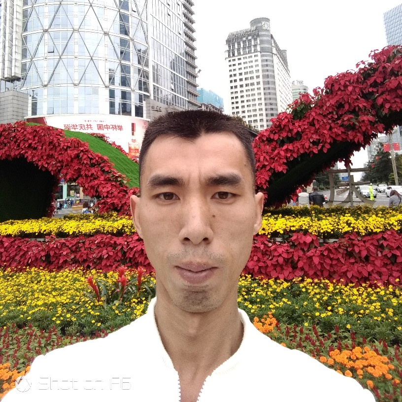 芒果等待粗暴的照片