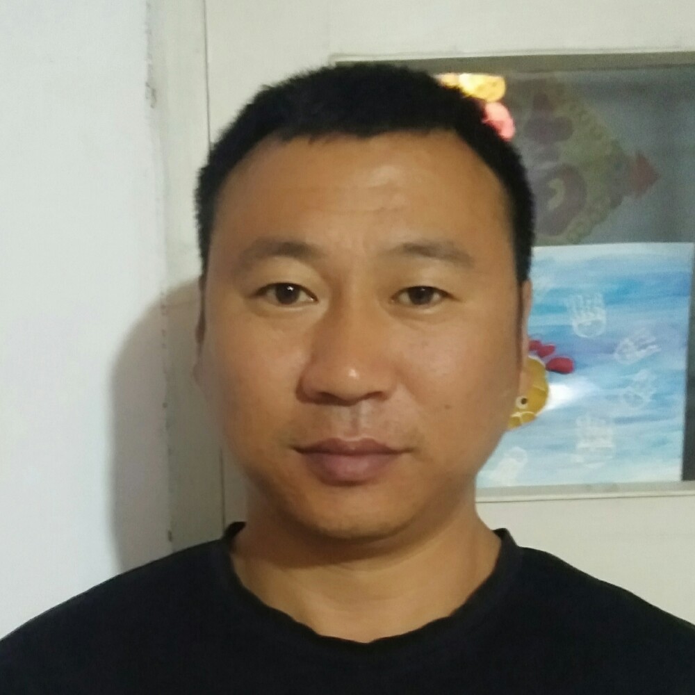 笨狼1号的照片