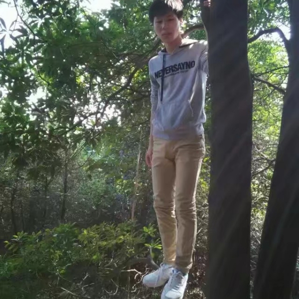白昼爱烂漫的照片