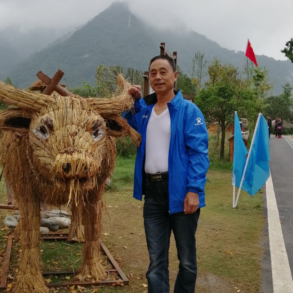 粗心的无可取代的的照片