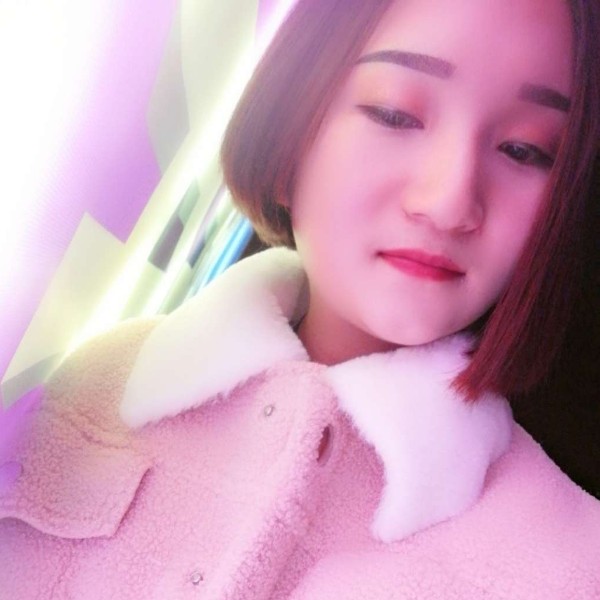 懒猫的照片