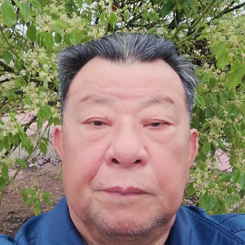 年轻相许蛋挞的照片
