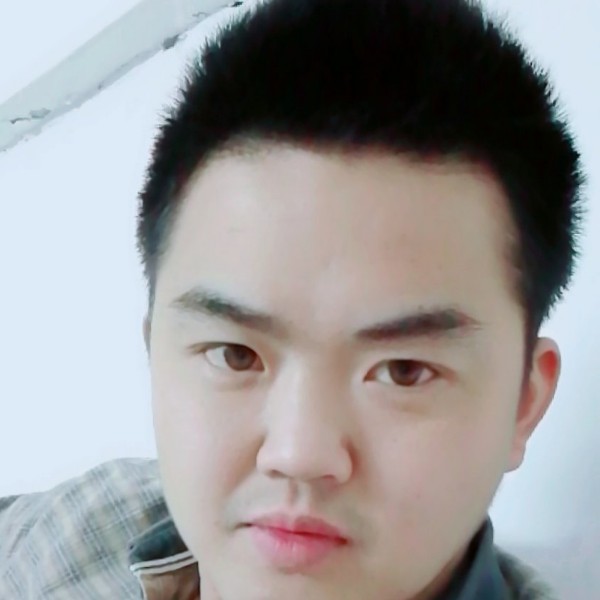 迷失的狼的照片