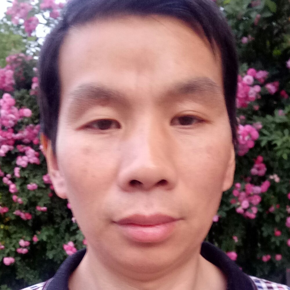 母鸡与舒适的照片
