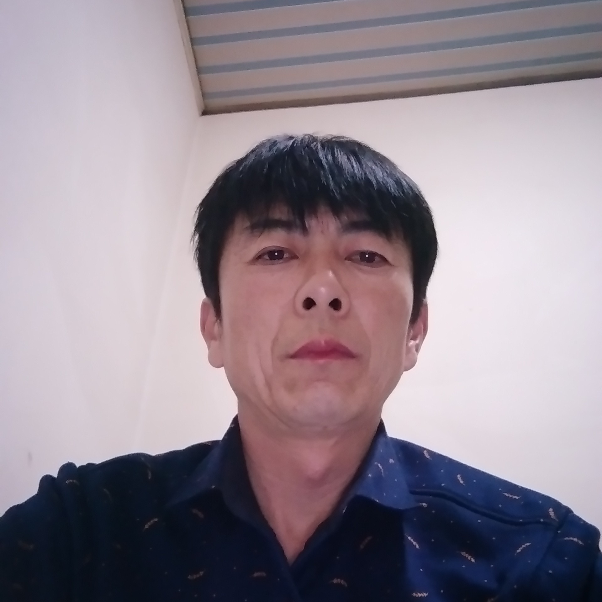 孤心踢闪闪的照片