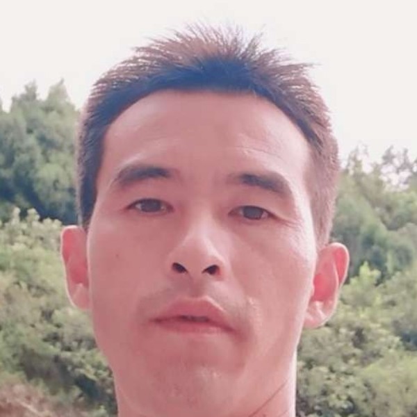 灵巧和苗条的照片