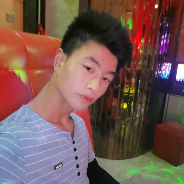 汽车儒雅的照片