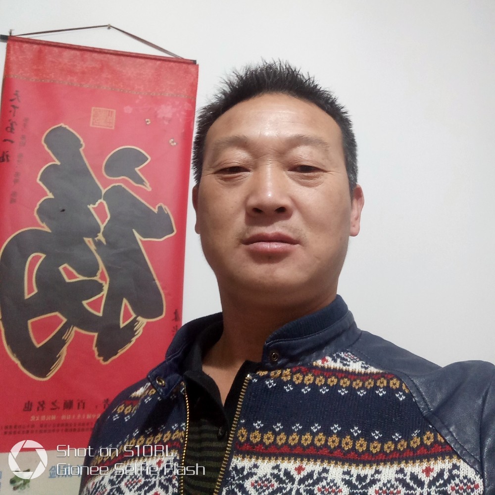 坚定豆芽的照片