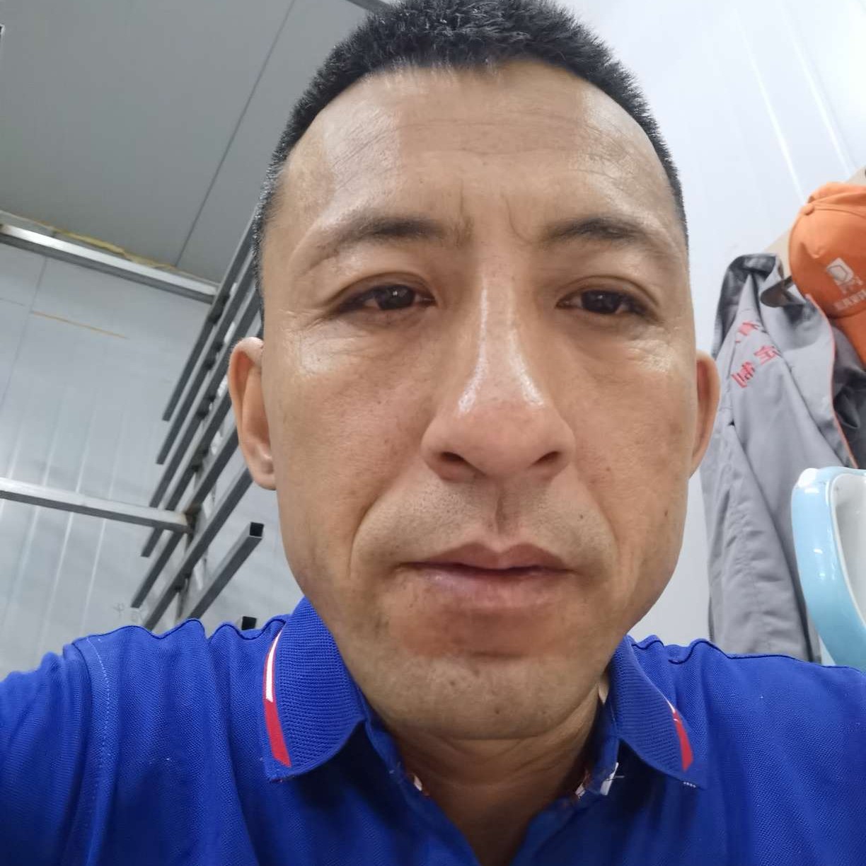 冷眸邂逅轻松的照片