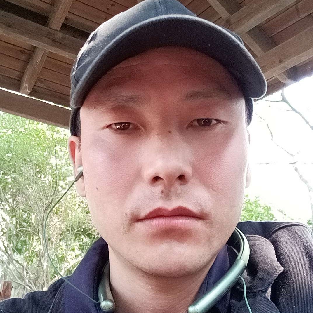 寂寞流星张的照片