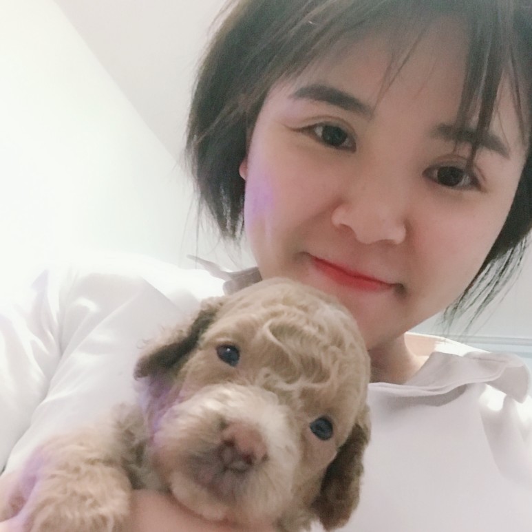 小金乌的照片