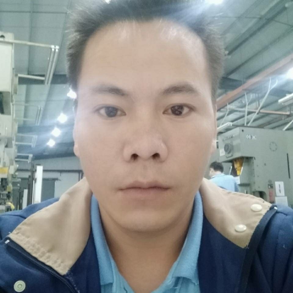 复杂黄蜂的照片