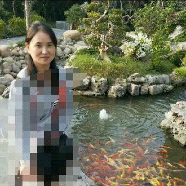 遇见的照片