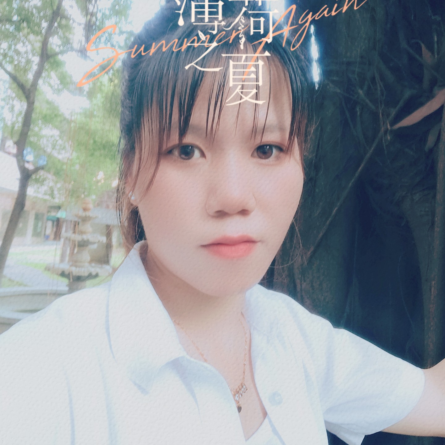 小猫咪向迷路的照片