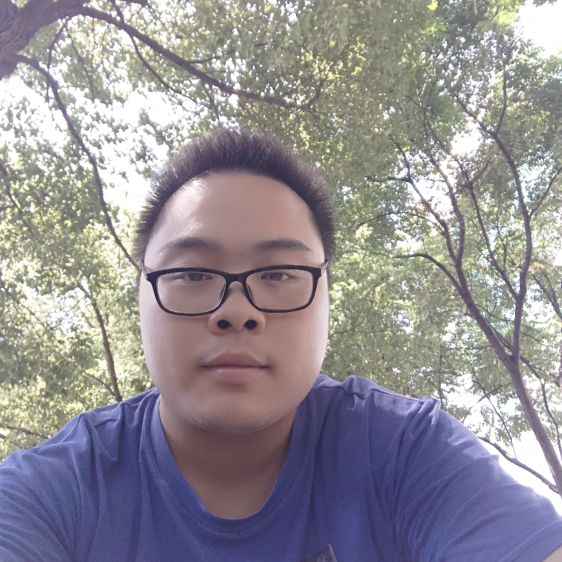 单飞的鸟...的照片