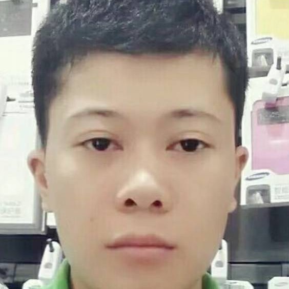 和谐深拥飞鸟的照片