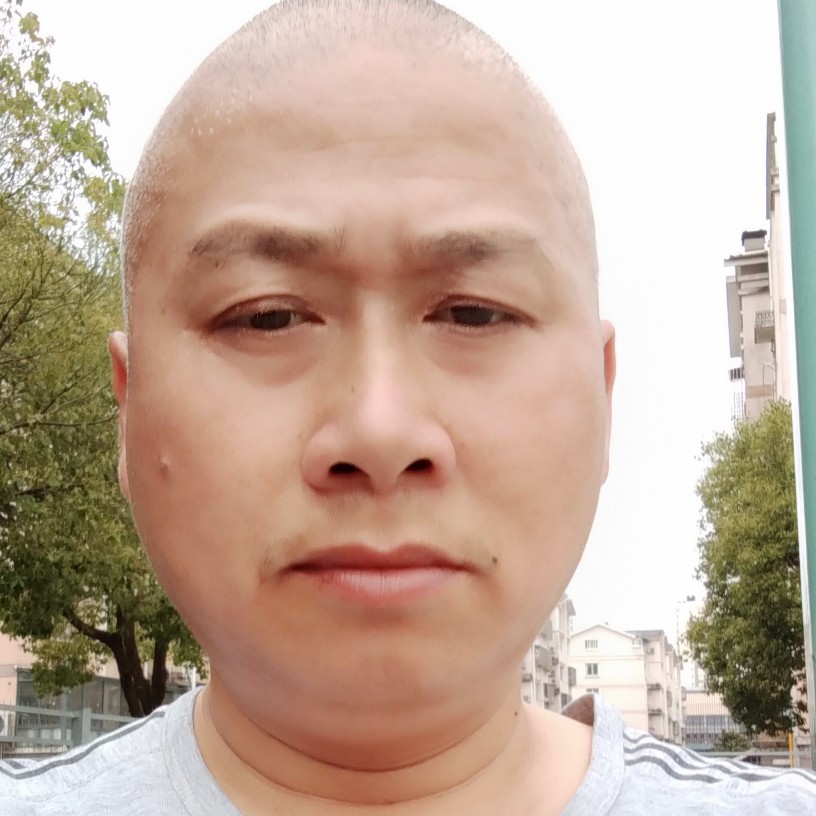 心灵美蹁跹小海豚的照片