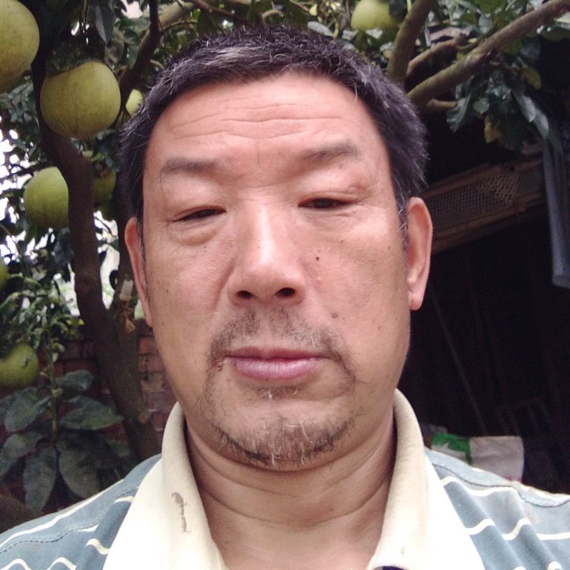 干净青花的照片