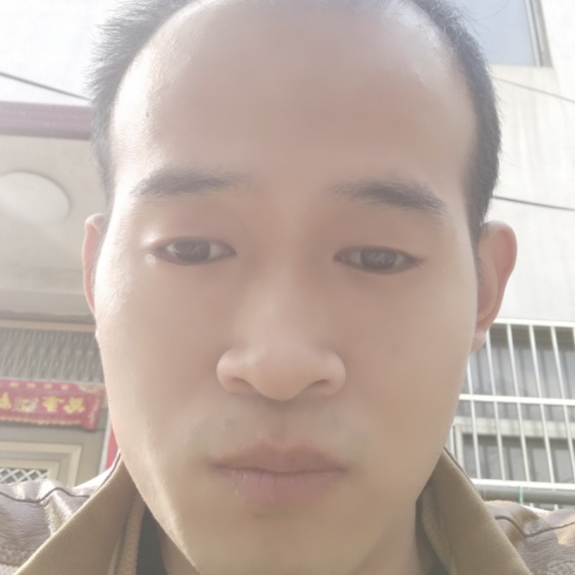 洋葱认真的照片