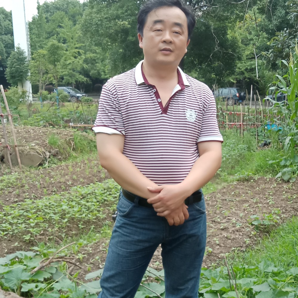 谨慎酸奶的照片