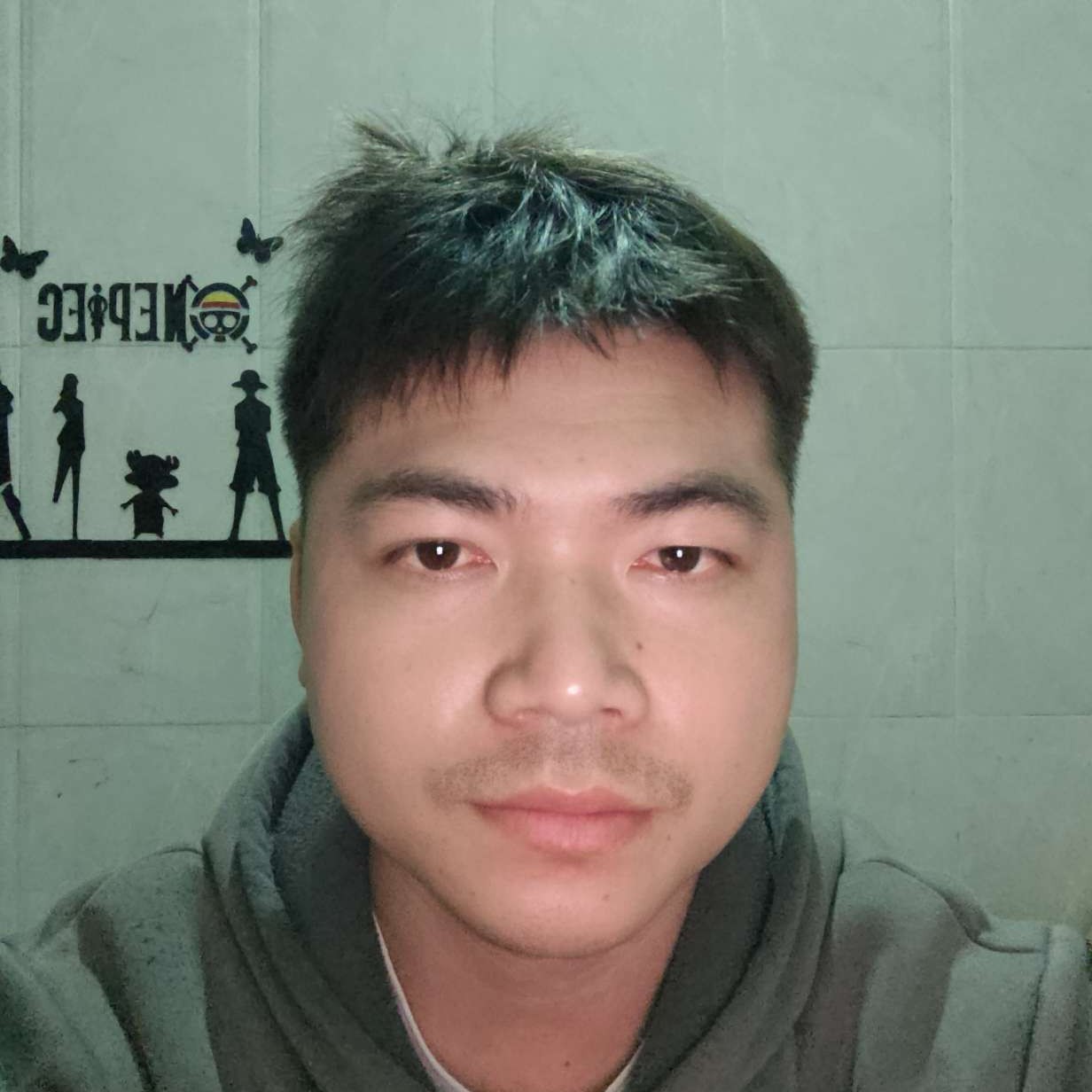 果实的照片