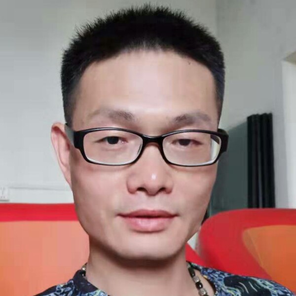 羽毛含蓄的照片