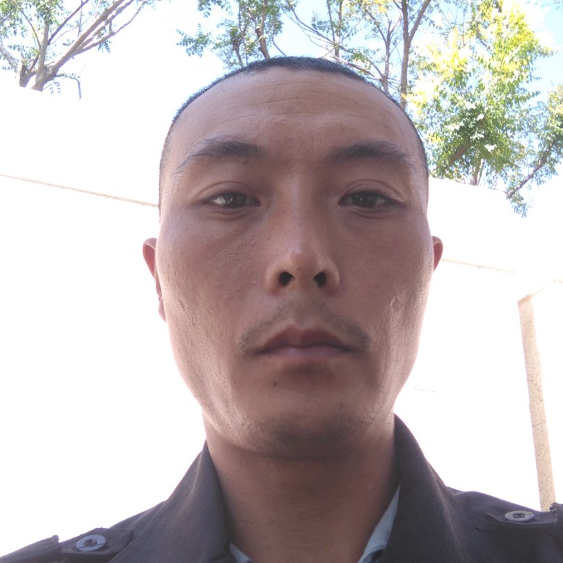 小甜瓜热心的照片
