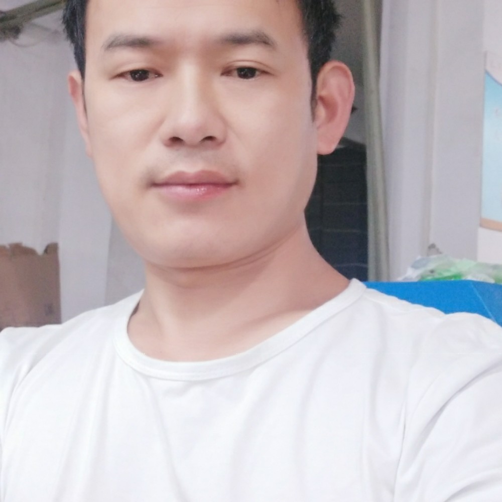 乌龟那优秀的照片