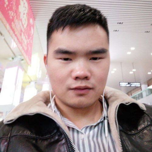 沉默的木头的照片