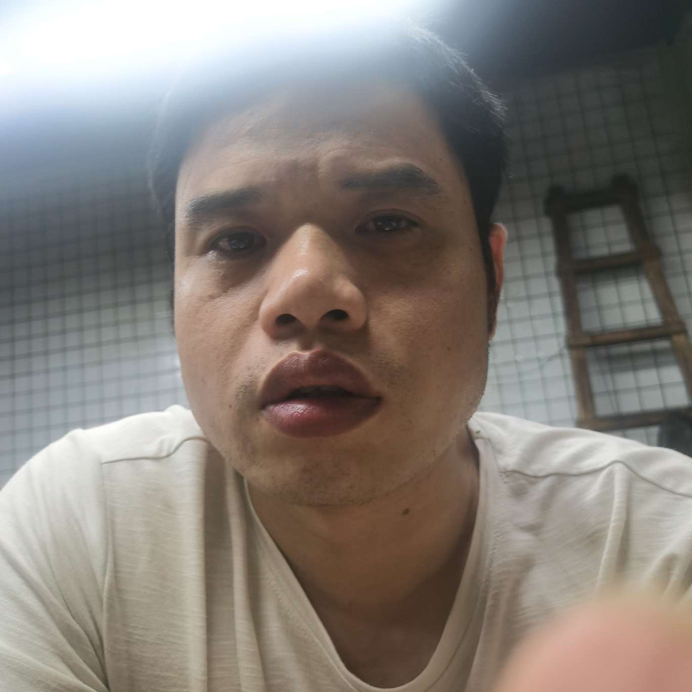 干净就泥猴桃的照片